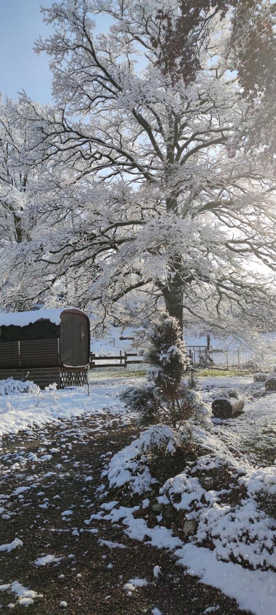 Ma Roulotte sous les Chênes la passionnée Raon-aux-Bois Exterior foto