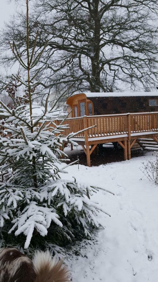 Ma Roulotte sous les Chênes la passionnée Raon-aux-Bois Exterior foto